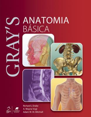Gray's anatomia básica [recurso eletrônico]