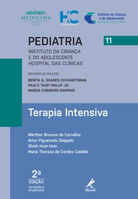 Terapia intensiva [recurso eletrônico]