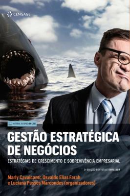 Gestão estratégica de negócios [recurso eletrônico] : estratégias de crescimento e sobrevivência empresarial 3ª edição revista e ampliada