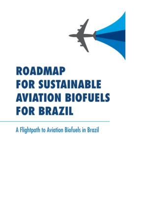 Roadmap for sustainable aviation abiofueles for brazil [recurso eletrônico]