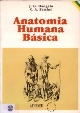 Anatomia humana básica